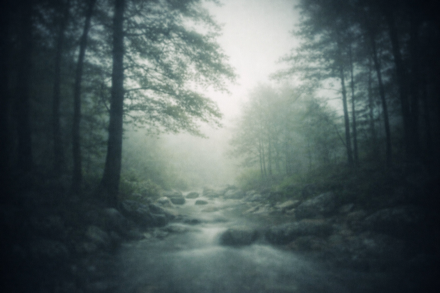 ピンホールカメラの活用例